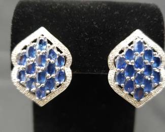 "Holly Jolly Jewels" in Evans, GA. Starts Closing on Sat 12/9 at 8p. Pickup on Mon 12/11 from 11-6p. Please click here to view more photos, descriptions, and current bids:&nbsp;https://ctbids.com/estate-sale/25629