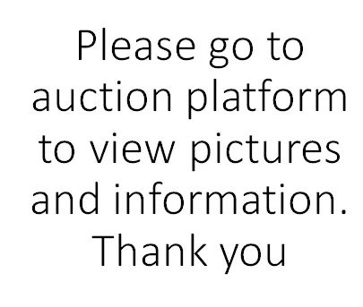 Go to Auction Platform