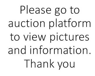 Go to Auction Platform