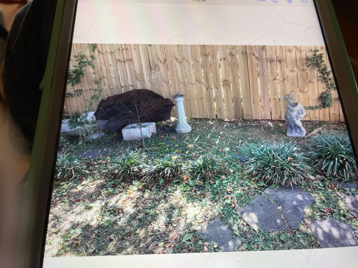 SUNDAY DISCOUNTS METAIRIE INDOOR OUTDOOR SALE starts on 12/10/2023