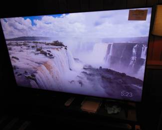 65" Sony  TV