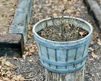 Lots of outdoor planting pots
