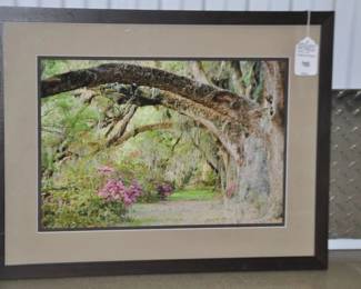 American Artist Marc Garrison (b. 1951) Color Photograph Titled, "Magnolia Park" Framed & Double Matted, Signed Inverso 24.75" x 19", ($195). 