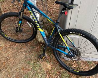 Giant mountain bike