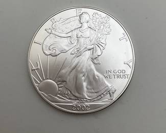 2002 1 Oz. Americal Silver Eagle 