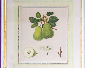 Original Watercolors (6)