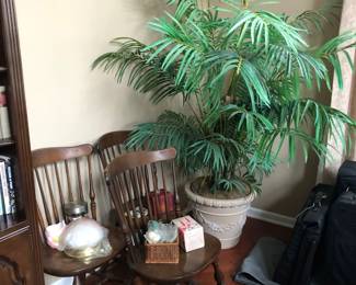 Chairs, Artificial Plant