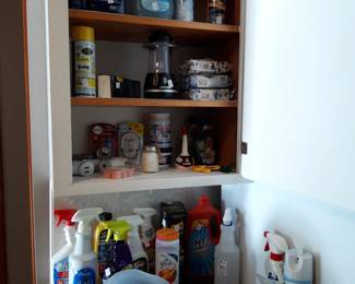 Kitchen cleaning items.