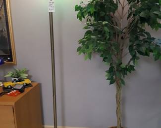 Ficus the Faker.  Basement. 