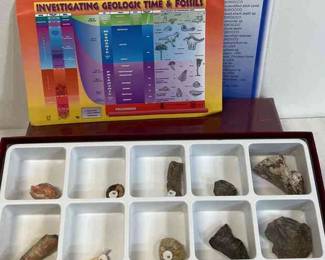 BJU Press Fossil Kits W 15 Fossils