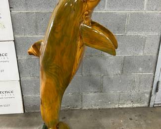 Different angle Dolphin 