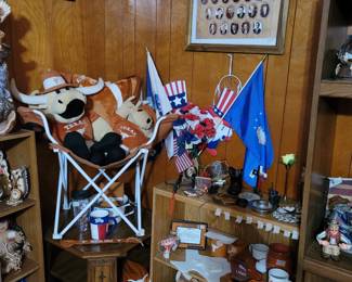 Texas Longhorn Decor