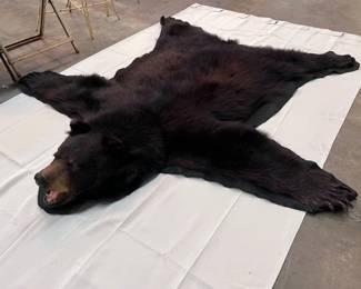 NEW BEAR SKIN RUG