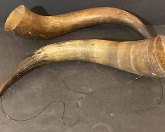 Pair Of Vintage Bull Horns