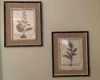 framed flora decor prints