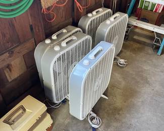 selection of box fans