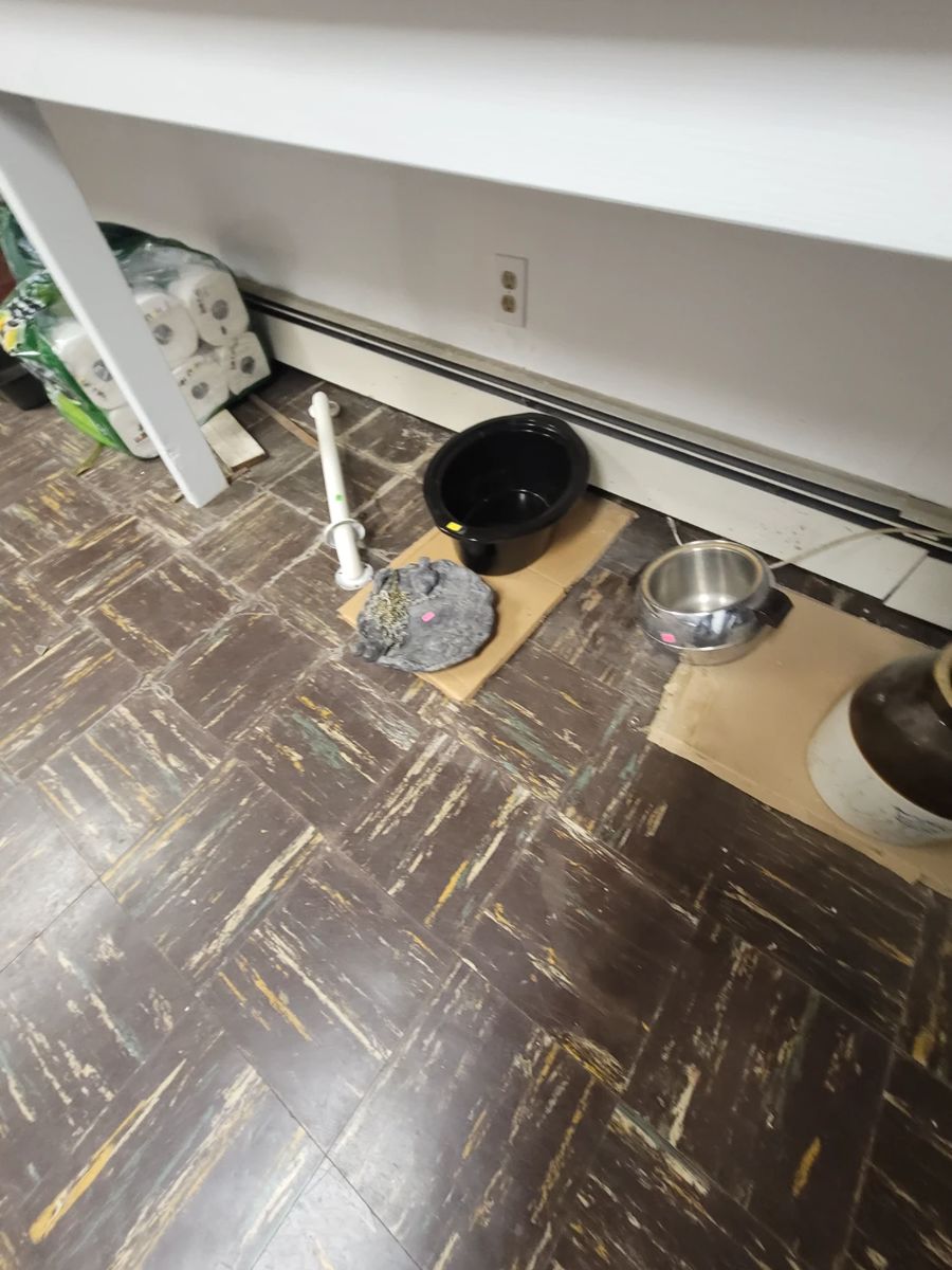 Brewster Estate Sale starts on 12/8/2023