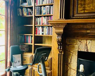 LIFE FITNESS RECUMBANT BIKE