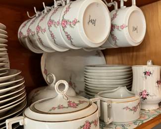 Imperial H&C Selb Bavaria Porcelain "Rosalinda" China Set