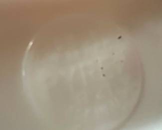 2 Red/White Pyrex Refrigerator Dishes