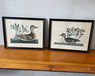 Lot 9910 Pair of Botanical Duck Art Prints