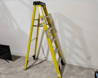 Lot 9629 Werner 6104 6 Fiberglass Ladder