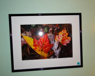 More framed art work