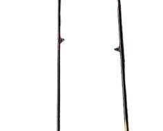 Two Fishing Poles