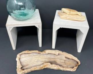 Decor Trio - Petrified Wood, Glass Float, & Walrus Carving