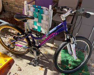 20" Schwinn girls bike