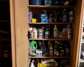 Chemicals and cleaners galore