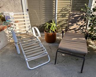 Potted plants and chaise lounges 
