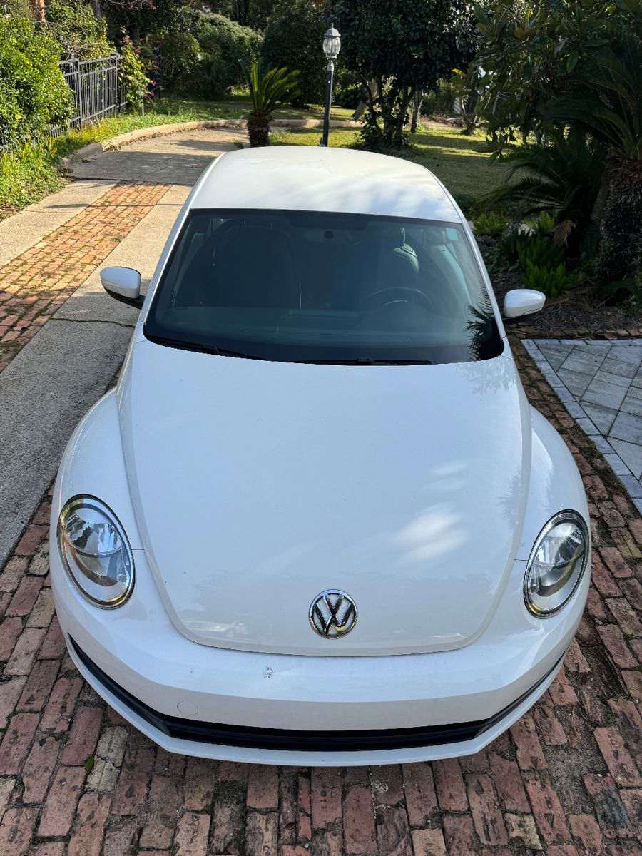 CARDON ESTATE SALE East Hill Majestic starts on 12/15/2023