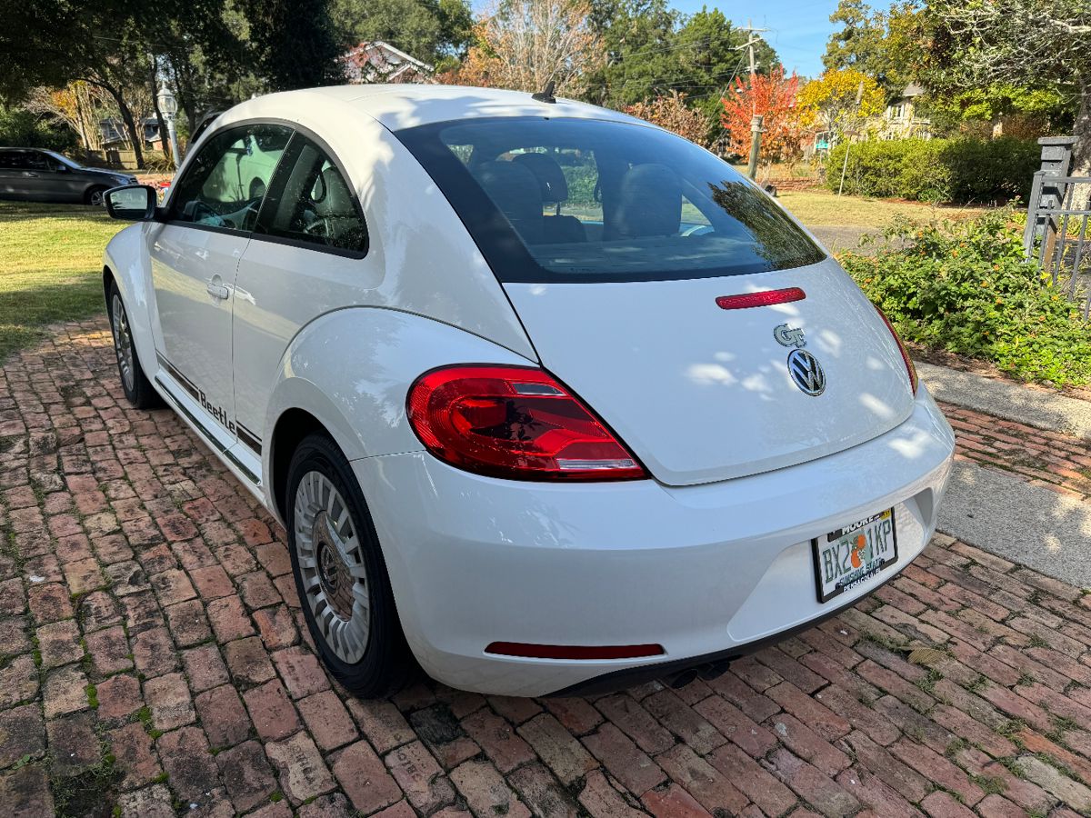 CARDON ESTATE SALE East Hill Majestic starts on 12/15/2023