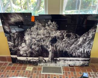 $450 Acrylic tree on tin 60x40