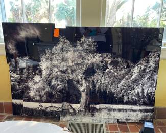 $450 Acrylic tree on tin 60x40