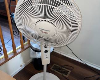 fan