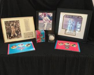 Baseball Lovers Collection