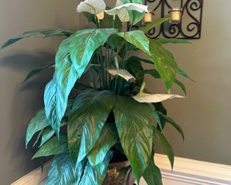M16 - $10 Faux peace Lily.