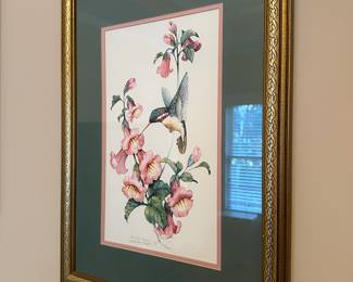 M37 - $30 PAIR hummingbird signed prints Carolyn Shores Wright. Measures 16.5" x 22"