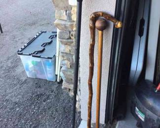 Three Walking Canes