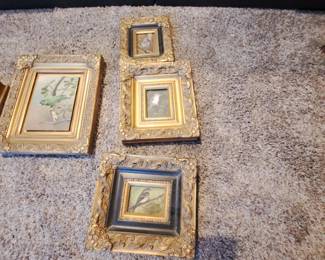 Bird paintings in ornate frames