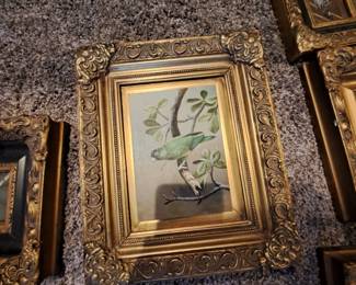 Close-up of bird painting