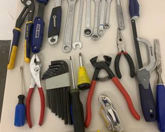 Misc. tools.  I'm pretty sure that red one is for pulling teeth.  Brad