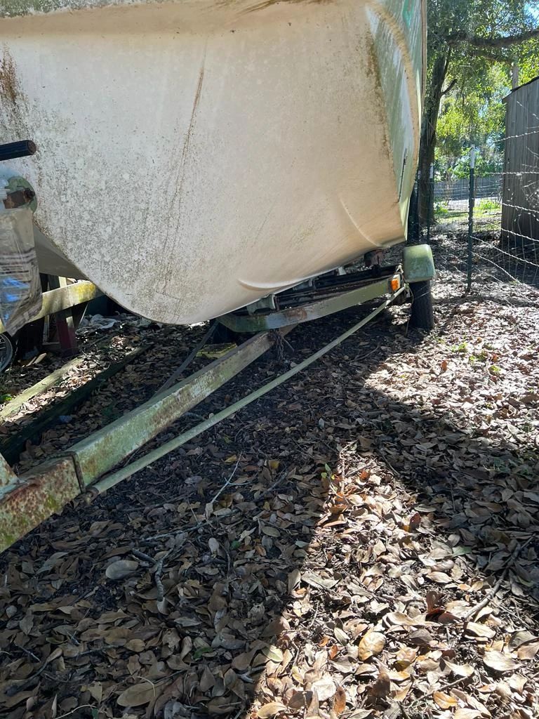 Clearing Out the House Plant City starts on 12/15/2023