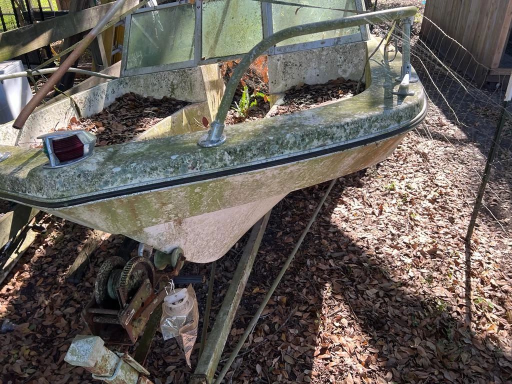 Clearing Out the House Plant City starts on 12/15/2023