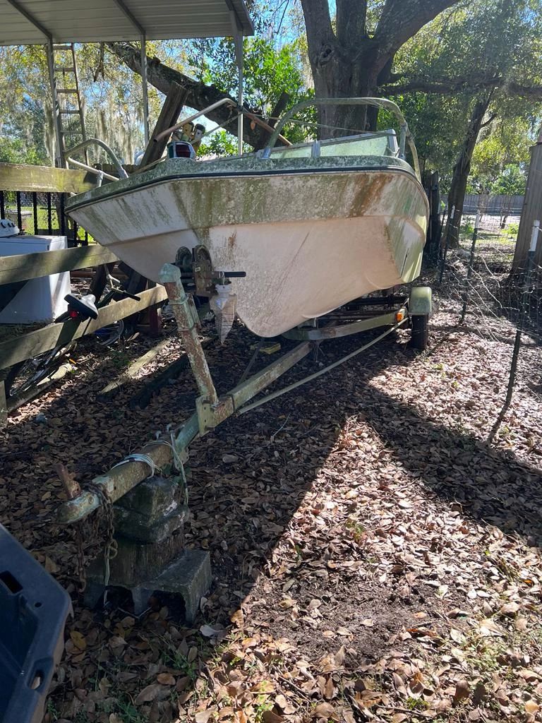 Clearing Out the House Plant City starts on 12/15/2023