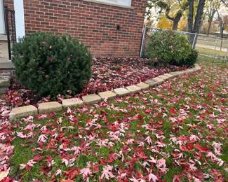 All boarder bricks from around home