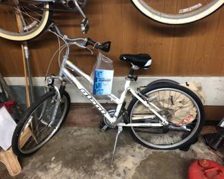 Giant Sedona DX bike