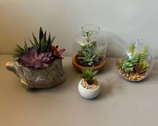 Artificial succulent terrariums